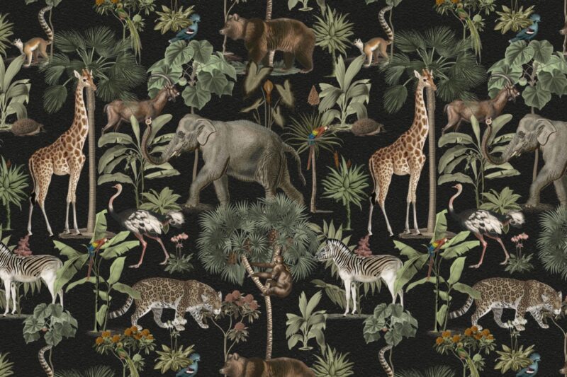 Animal