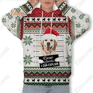 Golden Retriever Ugly Christmas 3D Unisex Hoodie, Dear Santa Dog - Ettee - 3D