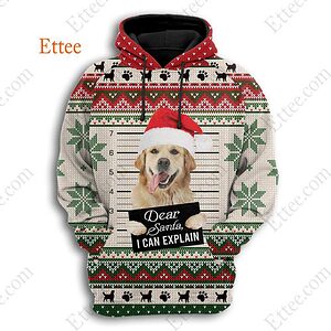 Golden Retriever Ugly Christmas 3D Unisex Hoodie, Dear Santa Dog - Ettee - 3D