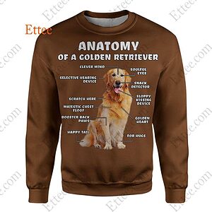 Anatomy Of A Golden Retriever 3D Unisex Hoodie, Perfect Gift For Dog Lovers - Ettee - 3D