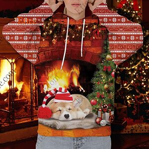 Corgi Butt 3D Unisex Hoodie, Perfect Corgi Christmas Gift - Ettee - 3D