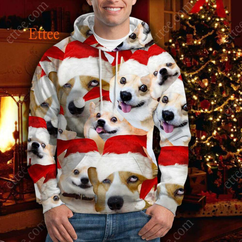 Corgi Meme 3D Unisex Hoodie, Funny Gift For Corgi Lovers