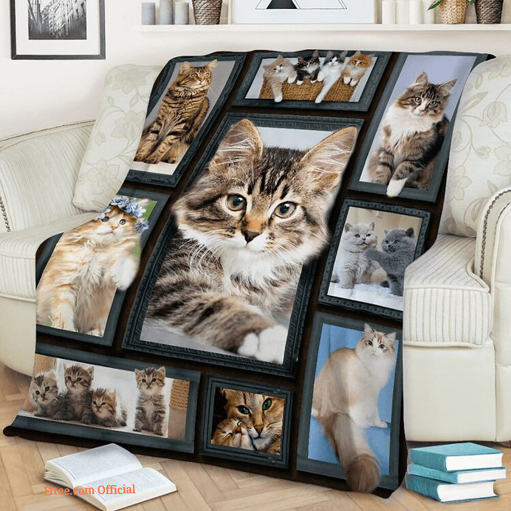 blanket for the wife you are my best friend cat love blanket for the wife you are my best friend cat love - Ettee - Best Friend