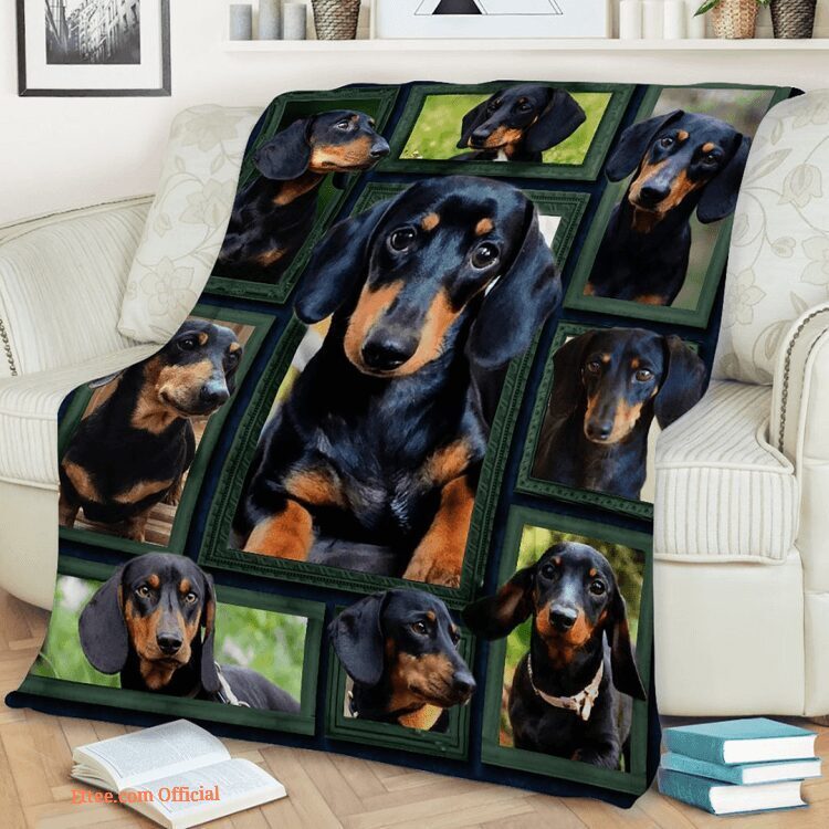 3D Animal Dachshund Beauty Quilt Blanket. Lightweight And Smooth Comfort