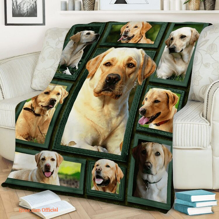 3D Labrador Beauty Quilt Blanket. Lightweight And Smooth Comfort