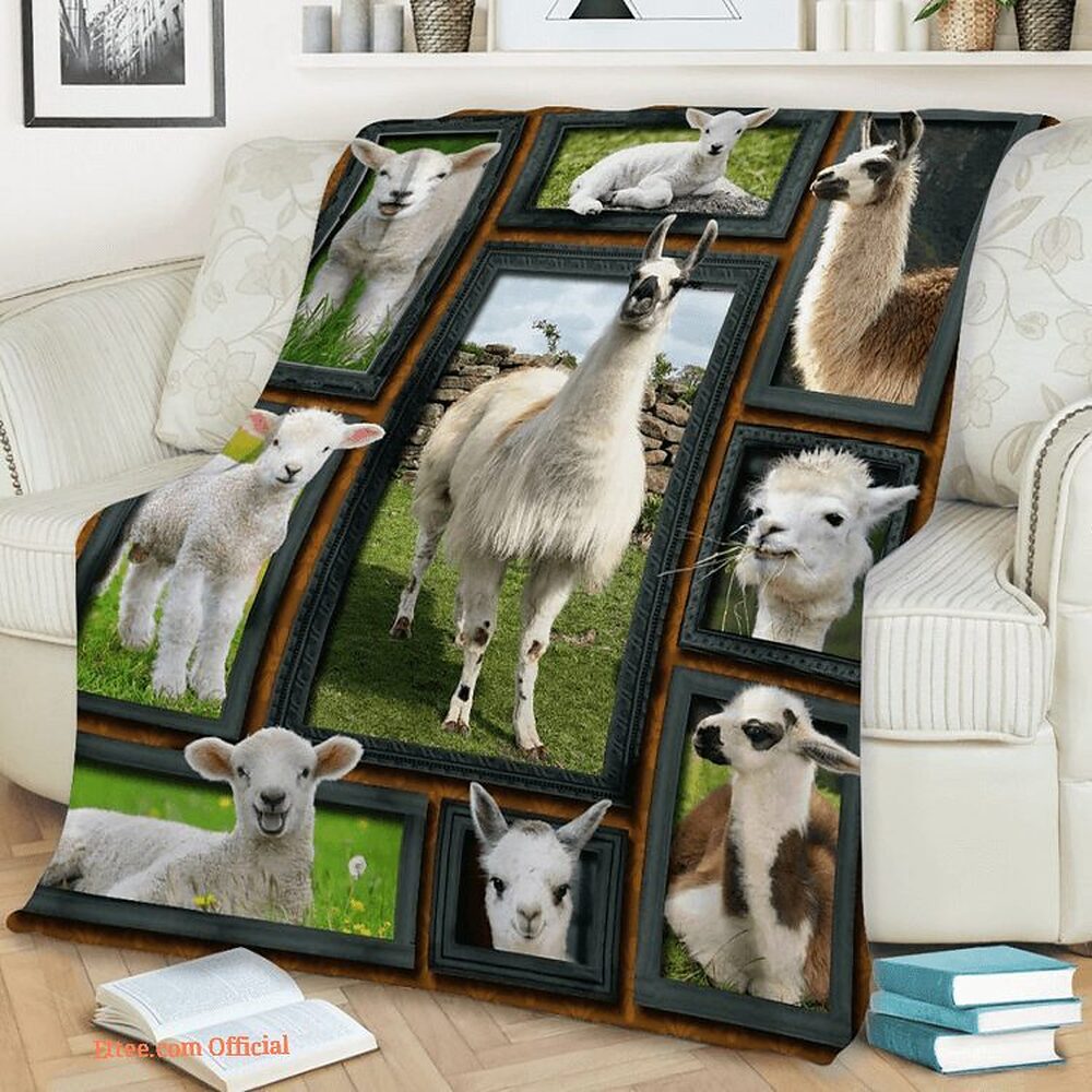 blanket for the wife you are my best friend cat love - Ettee - Best Friend
