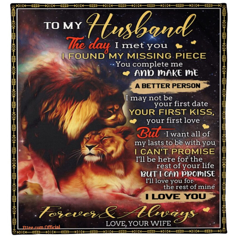gift for husband blanket the day i met you lion i love you