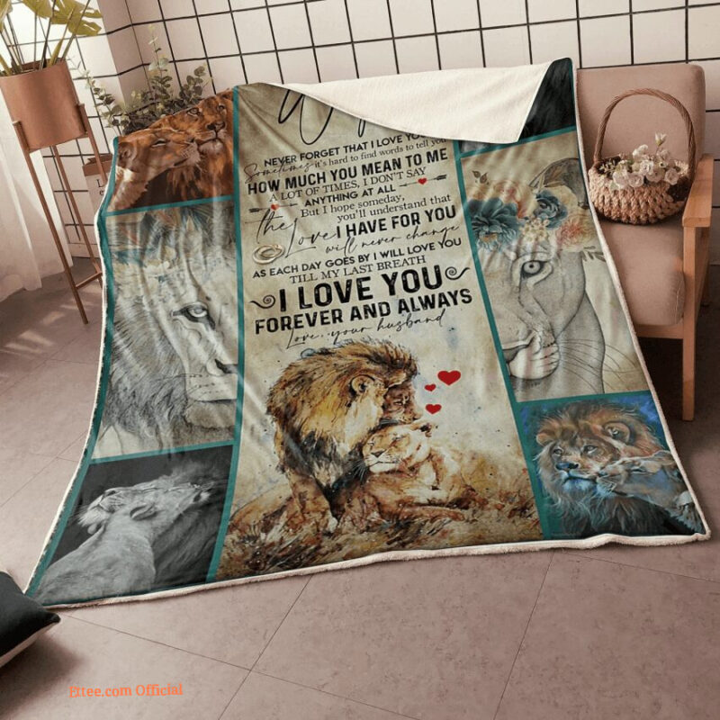 gift for wife blanket to my wife lion couple how much you mean to me love