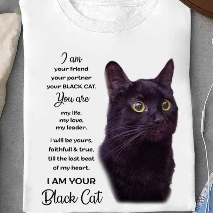 I Am Your Friend Your Partner Your Black Cat