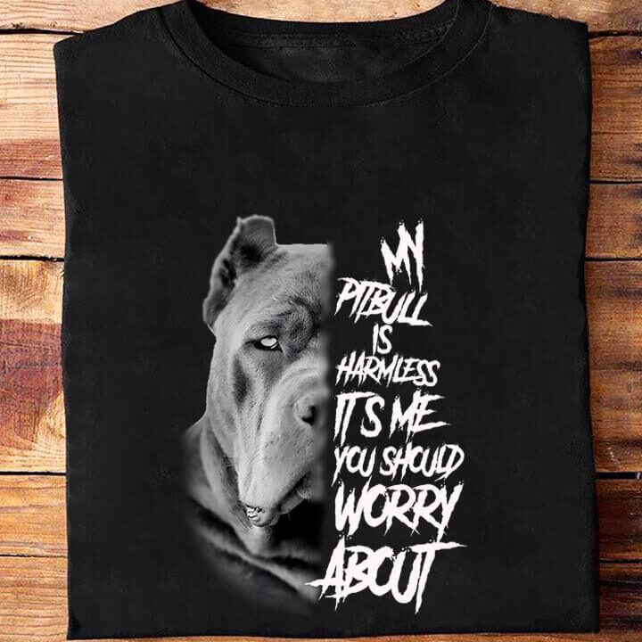 My Pitbull Is Harmless It's Me You Should Worry About