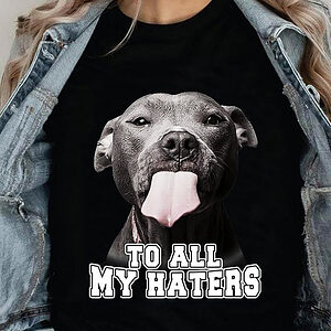To All My Haters - Ettee - Discoverability