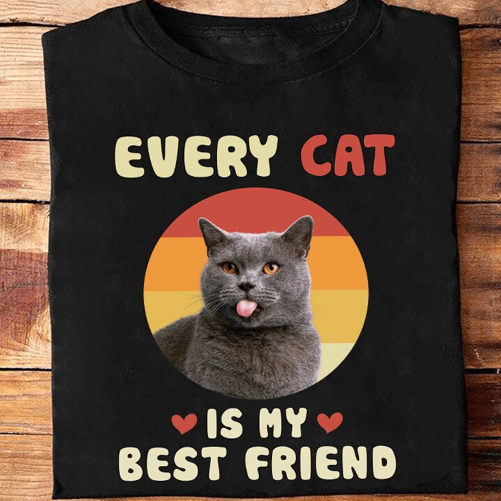 Every Cat Is My Best Friend