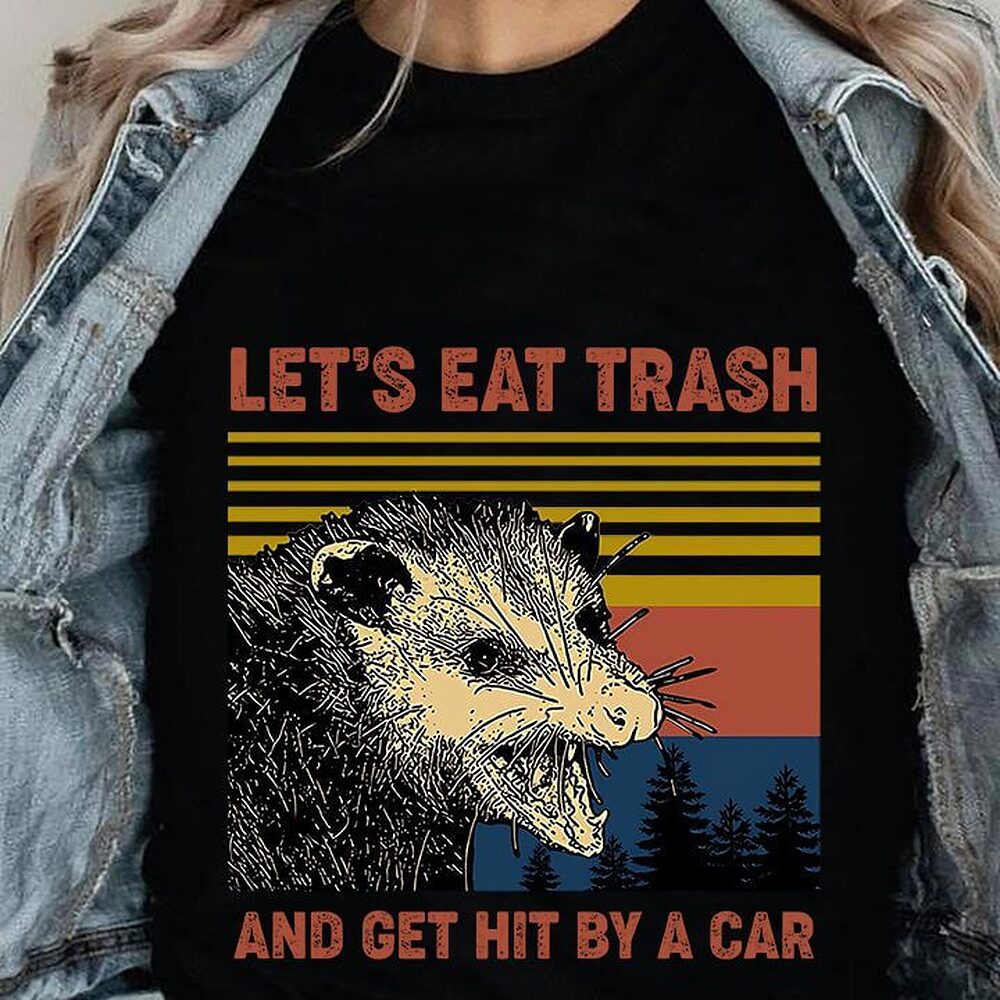 Let's Eat Trash And Get Hit By A Car Let's Eat Trash And Get Hit By A Car - Ettee - Car Accident