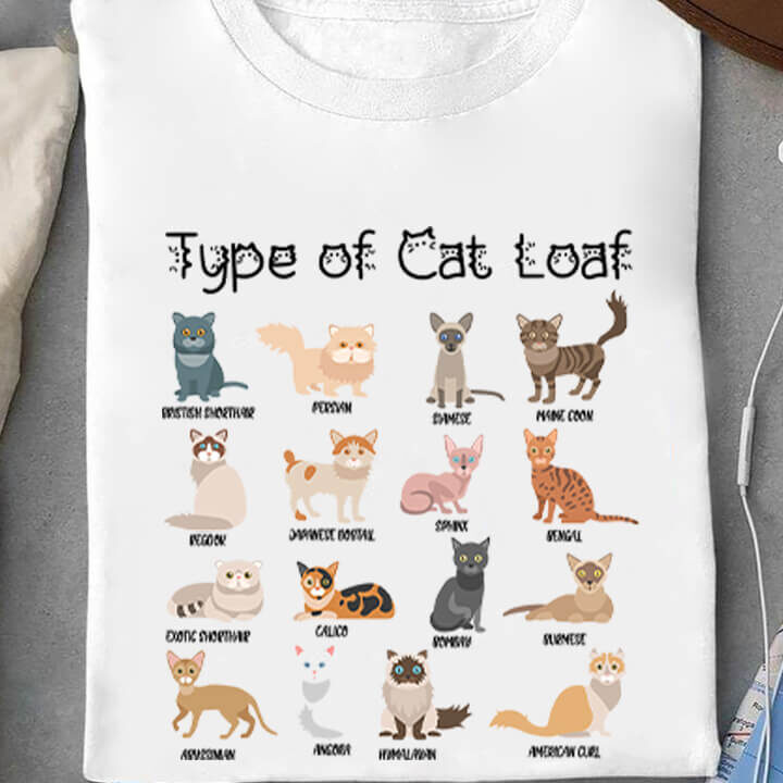 Type Of Cat Loaf